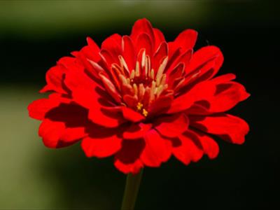 گرفته شده توسط خانم شیخ هنرجوی موسسه ضحی